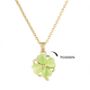 Picture of Double Layer Four Leaf Clover Pendant Necklace