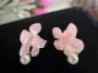 Picture of  Dried Natural Hydrangea Flower Earrings 