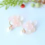 Picture of  Dried Natural Hydrangea Flower Earrings 