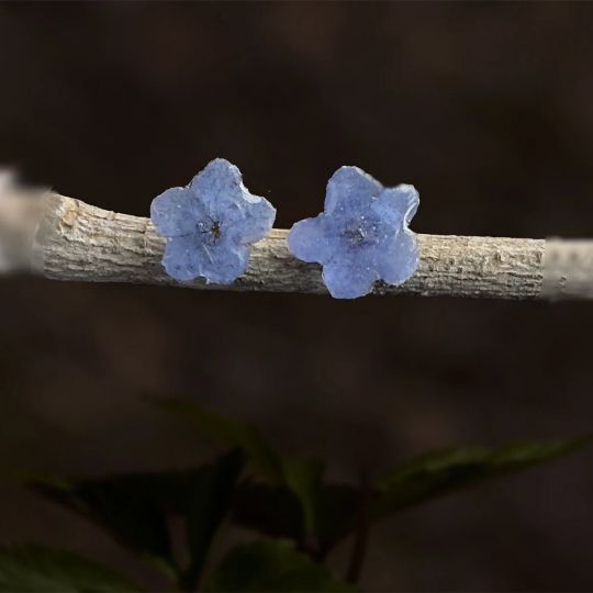 Picture of Forget Me Not Floral Stud Earrings