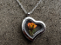 Picture of Personalized Real Rose Heart Locket